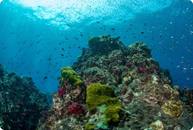 ZUPhCskUQkWf-Phan nga.png